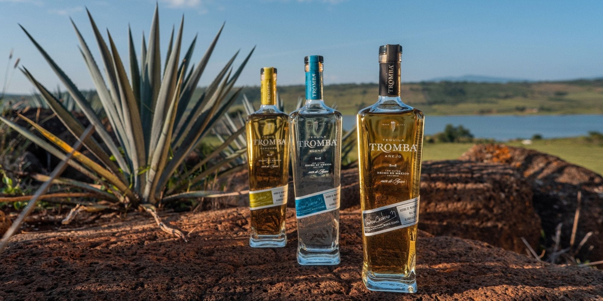 Tequila Tromba Blanco, Reposado and Anejo